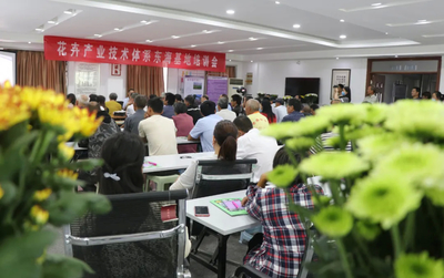 連云港:農閑變農忙 鮮花經濟實現致富&ldquo;美麗神話&rdquo;